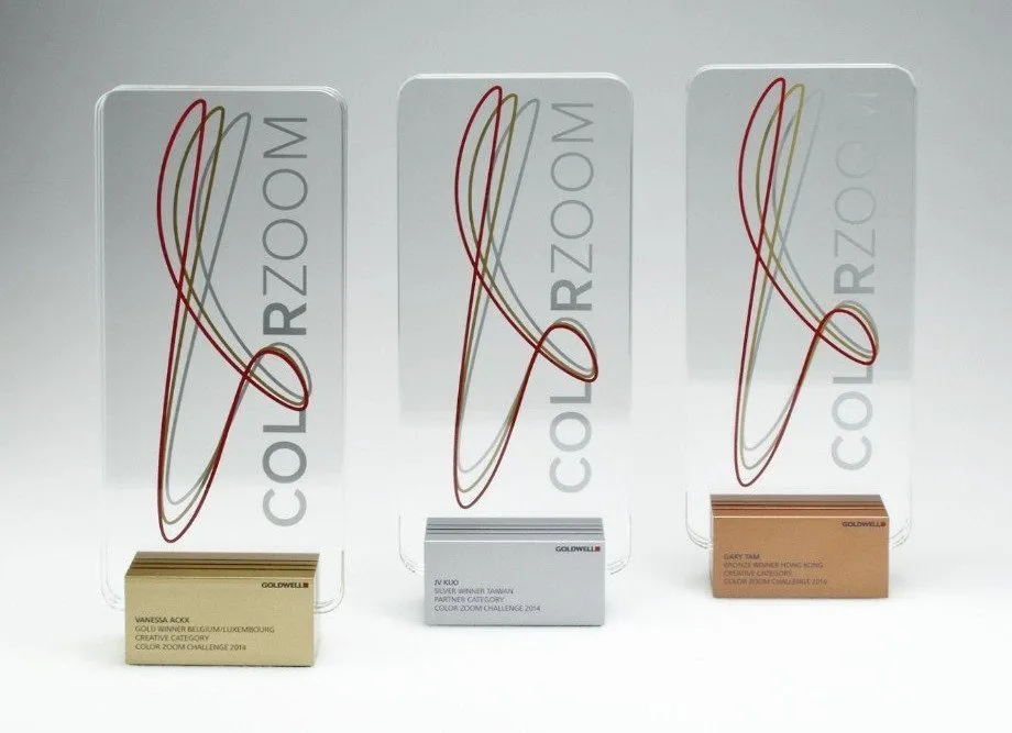 Goldwell COLORZOOM Award